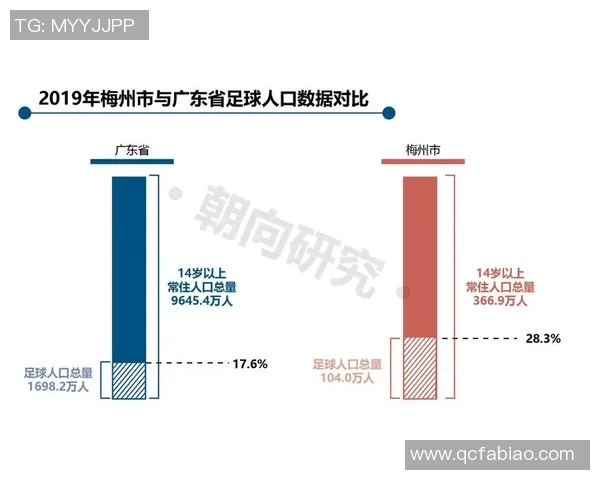 足球产业发展现状与未来趋势调研报告分析及建议