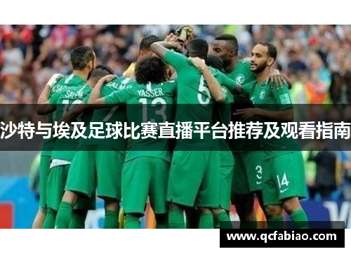 沙特与埃及足球比赛直播平台推荐及观看指南